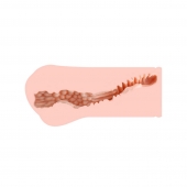 Мастурбатор-вагина Monica без вибрации - KOKOS - в Белгороде купить с доставкой