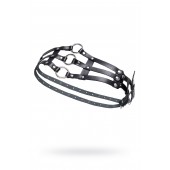 Черный кожаный пояс с кольцами - Pecado - купить с доставкой в Белгороде