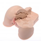 Мастурбатор-полуторс Naked Factory Kate - Naked Factory - в Белгороде купить с доставкой