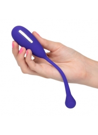 Фиолетовый шарик с электростимуляцией и вибрацией Intimate E-Stimulator Remote Kegel Exerciser - California Exotic Novelties - купить с доставкой в Белгороде