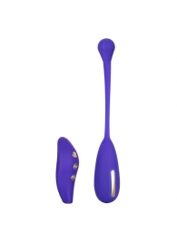 Фиолетовый шарик с электростимуляцией и вибрацией Intimate E-Stimulator Remote Kegel Exerciser - California Exotic Novelties - купить с доставкой в Белгороде