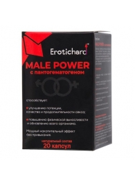 Капсулы для мужчин Erotichard male power с пантогематогеном - 20 капсул (0,370 гр.) - Erotic Hard - купить с доставкой в Белгороде