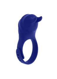 Синее эрекционное виброкольцо с клиторальной подушечкой и пультом ДУ Adjustable Fun Ring - Zero Tolerance - в Белгороде купить с доставкой