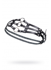 Черный кожаный пояс с кольцами - Pecado - купить с доставкой в Белгороде