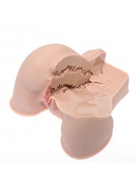 Мастурбатор-полуторс Naked Factory Kate - Naked Factory - в Белгороде купить с доставкой