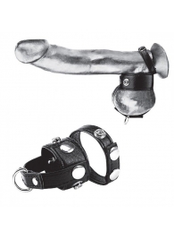 Утяжка для мошонки и пениса Cock Ring With 1  Ball Stretcher And Optional Weight Ring - BlueLine - купить с доставкой в Белгороде