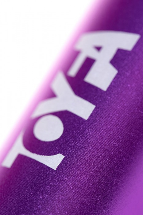 Портативное зарядное устройство A-toys 2400 mAh microUSB - A-toys - купить с доставкой в Белгороде