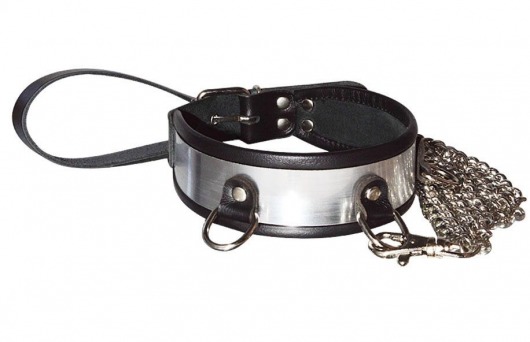 Стильный ошейник с металлическим блеском и поводком - Sitabella - купить с доставкой в Белгороде