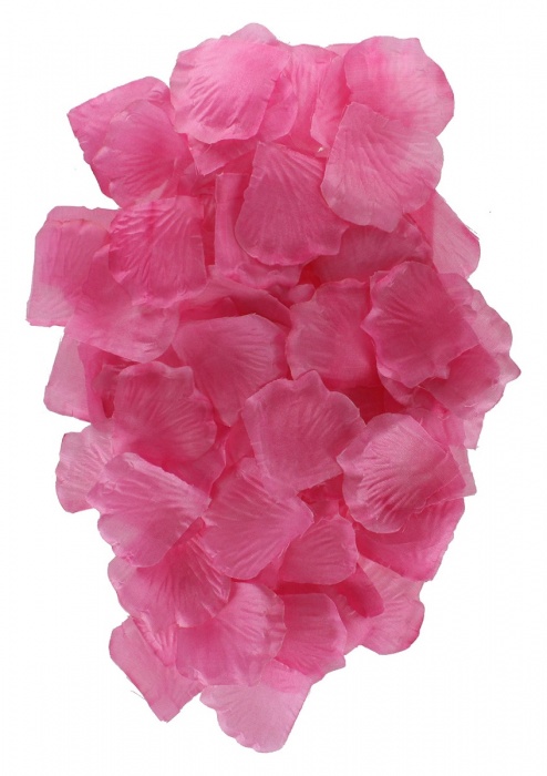 Эротический набор FANTASTIC PURPLE SEX TOY KIT - Toy Joy - купить с доставкой в Белгороде