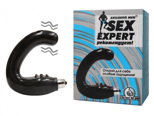 Чёрный массажёр простаты серии Sex Expert - Sex Expert - в Белгороде купить с доставкой