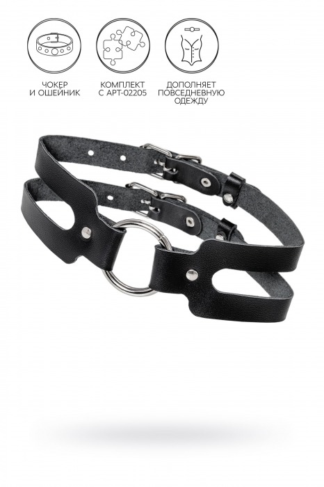 Черный кожаный чокер-ошейник из двух ремешков - Pecado - купить с доставкой в Белгороде