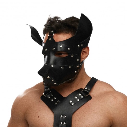 Черная кожаная маска «Собака» - Crazy Handmade - купить с доставкой в Белгороде