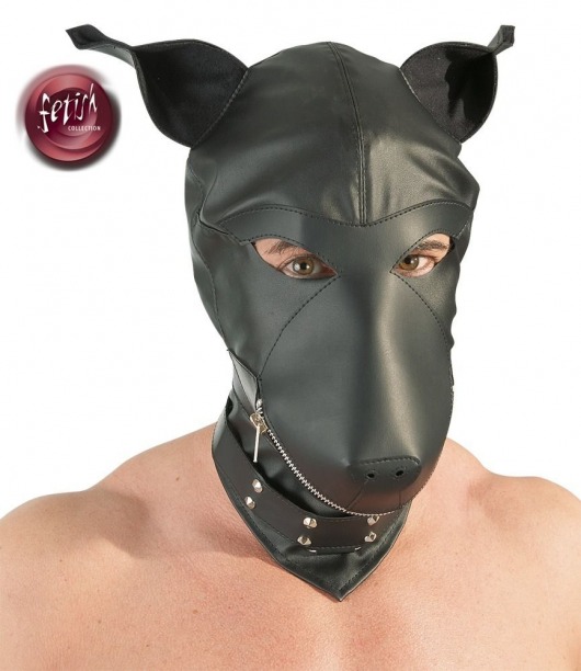 Шлем-маска Dog Mask в виде морды собаки - Orion - купить с доставкой в Белгороде