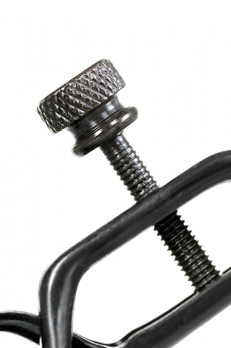 Черно-золотистые зажимы для сосков TOYFA Theatre - ToyFa - купить с доставкой в Белгороде