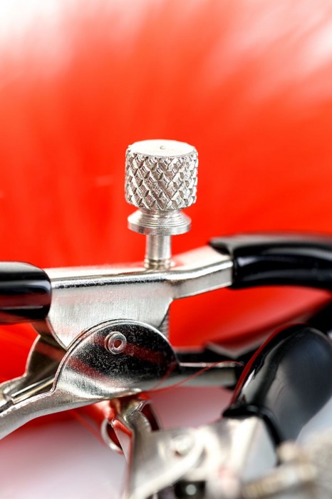 Зажимы для сосков с красным пухом Theatre - ToyFa - купить с доставкой в Белгороде