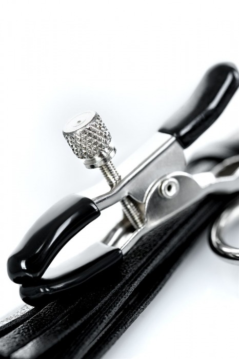 Черно-серебристые зажимы для сосков Theatre с кисточками - ToyFa - купить с доставкой в Белгороде