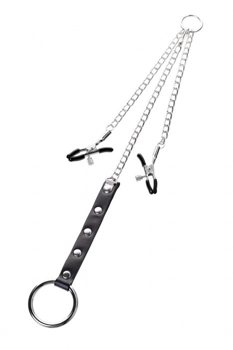 Серебристо-чёрные зажимы для сосков с кольцом для пениса TOYFA Metal - ToyFa - купить с доставкой в Белгороде