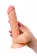 Телесный фаллоимитатор Lorn - 20 см. - ToyFa купить с доставкой в интернет-магазине Orgasmix в Белгороде Телесный фаллоимитатор Lorn - 20 см. - ToyFa